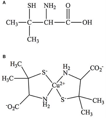 Chemosensitivity of U251 Cells to the Co-treatment of D-Penicillamine and Copper: Possible Implications on Wilson Disease Patients